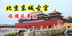 被草骚逼视频中国北京-东城古宫旅游风景区